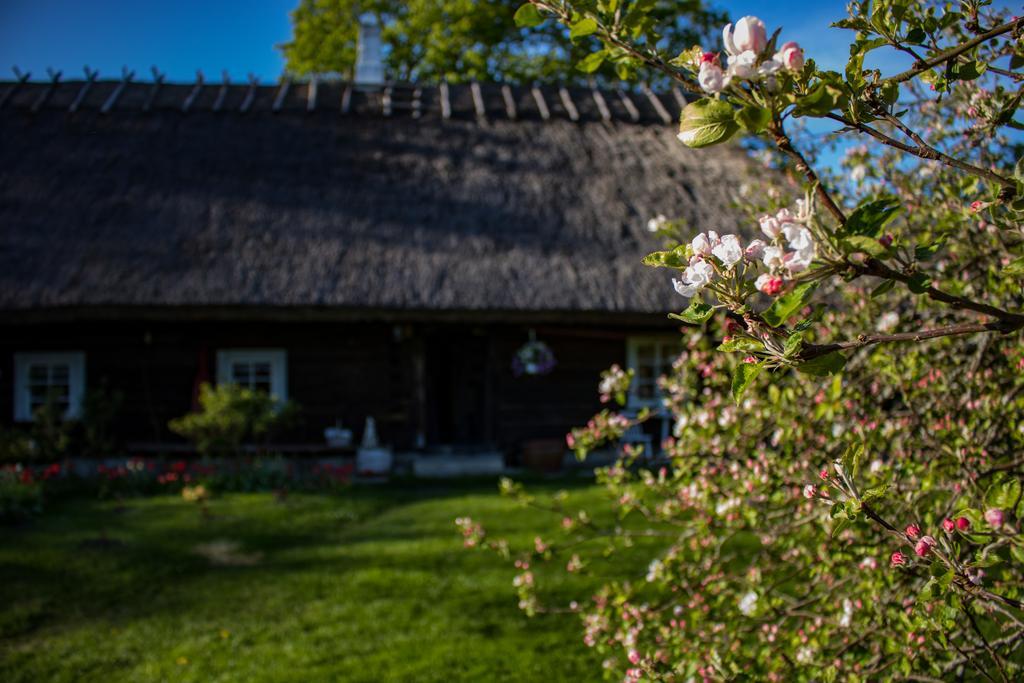 Kuusetuka Tourism Farm Villa Pahkla Exterior photo